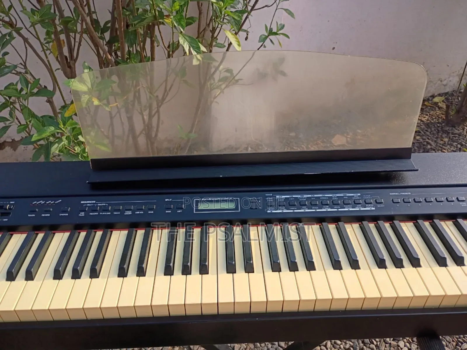 Bentley Stage Pro 88weighted Keys Split Layer Transpose Usb Etc