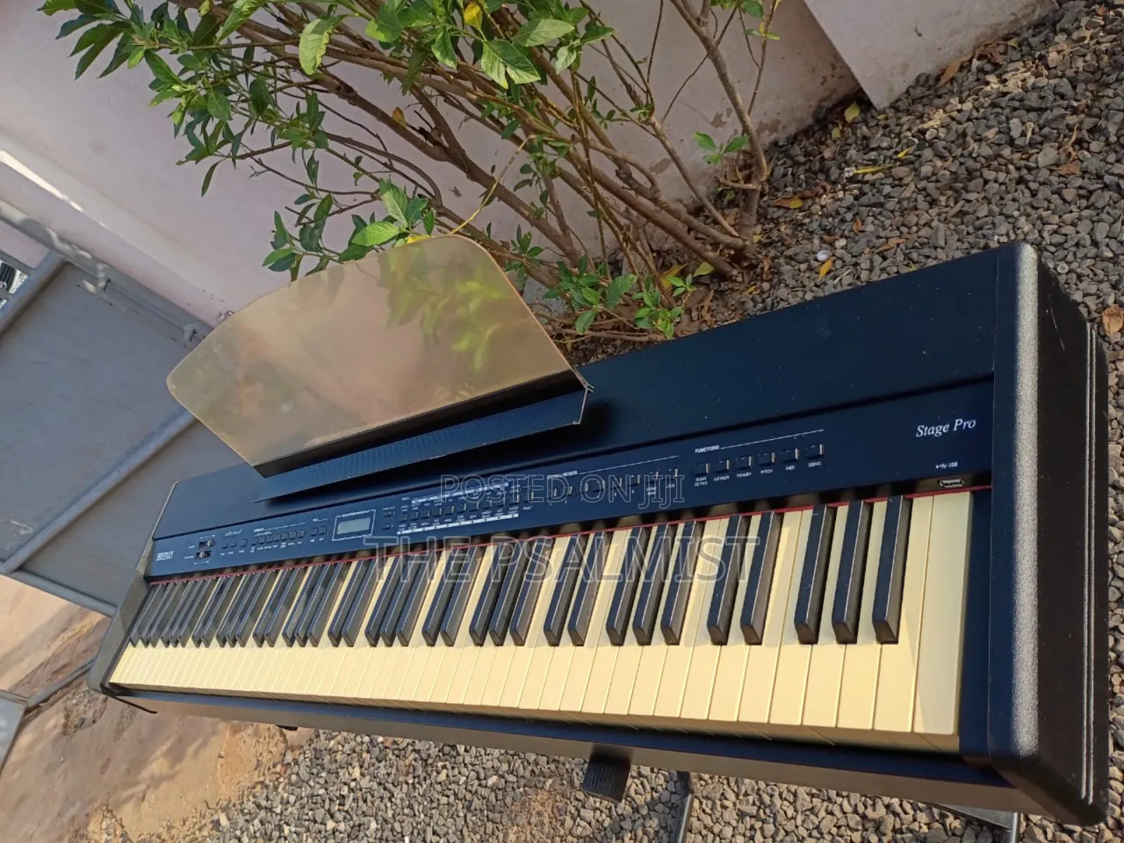 Bentley Stage Pro 88weighted Keys Split Layer Transpose Usb Etc