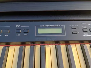 Bentley Stage Pro 88weighted Keys Split Layer Transpose Usb Etc