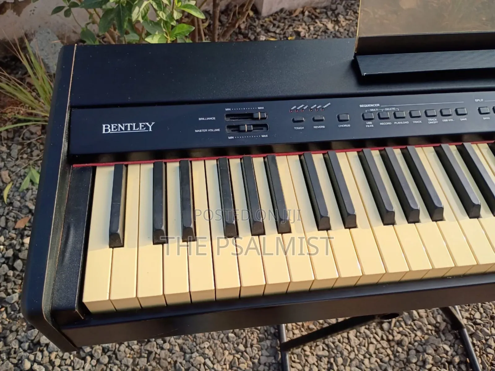 Bentley Stage Pro 88weighted Keys Split Layer Transpose Usb Etc
