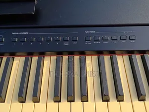 Bentley Stage Pro 88weighted Keys Split Layer Transpose Usb Etc