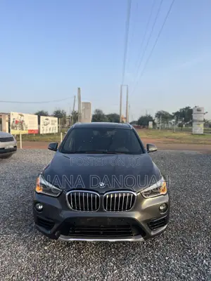 BMW X1 2017 Gray