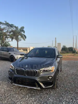 BMW X1 2017 Gray