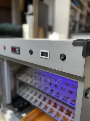 Egg Incubator