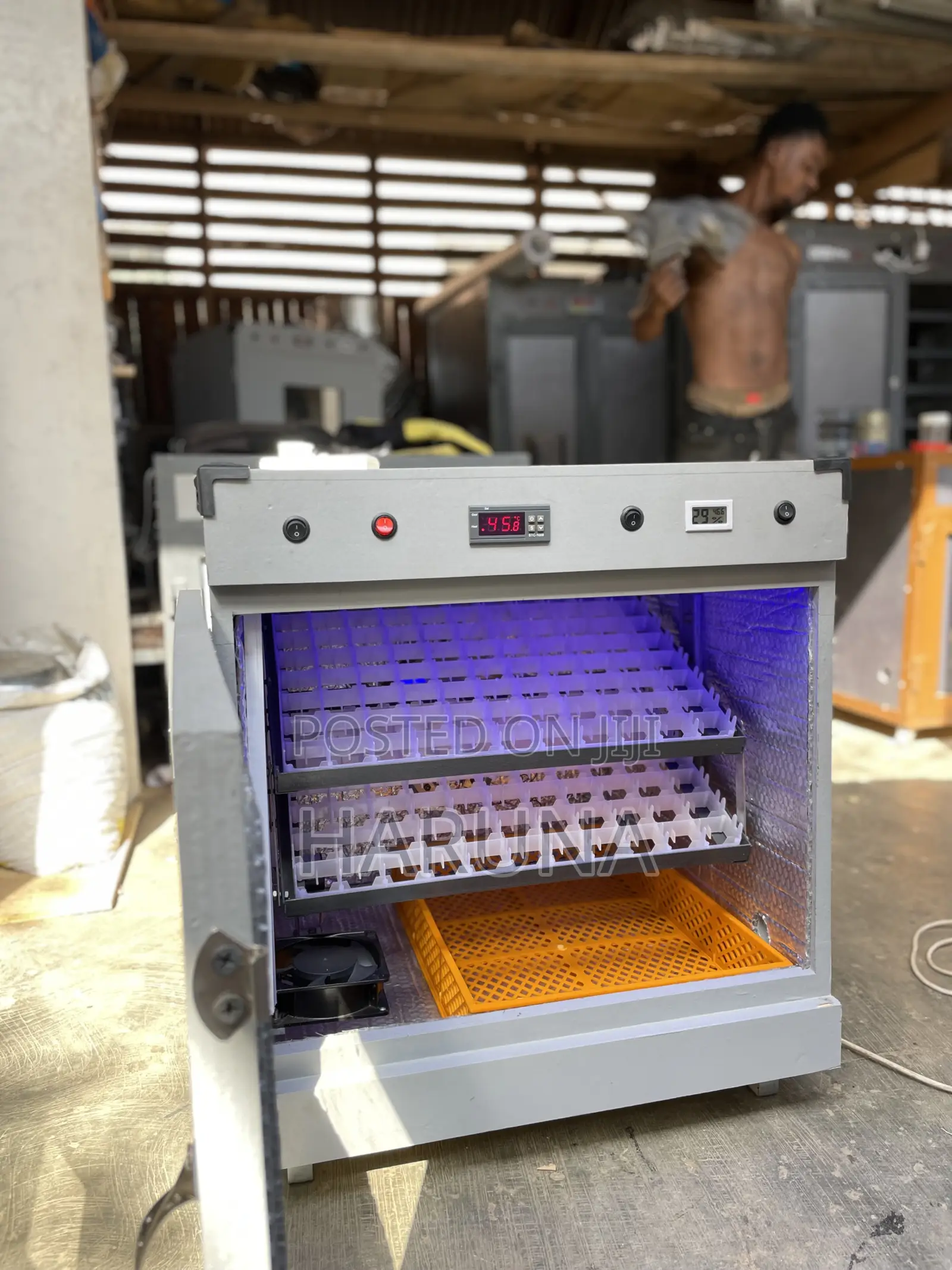 Egg Incubator