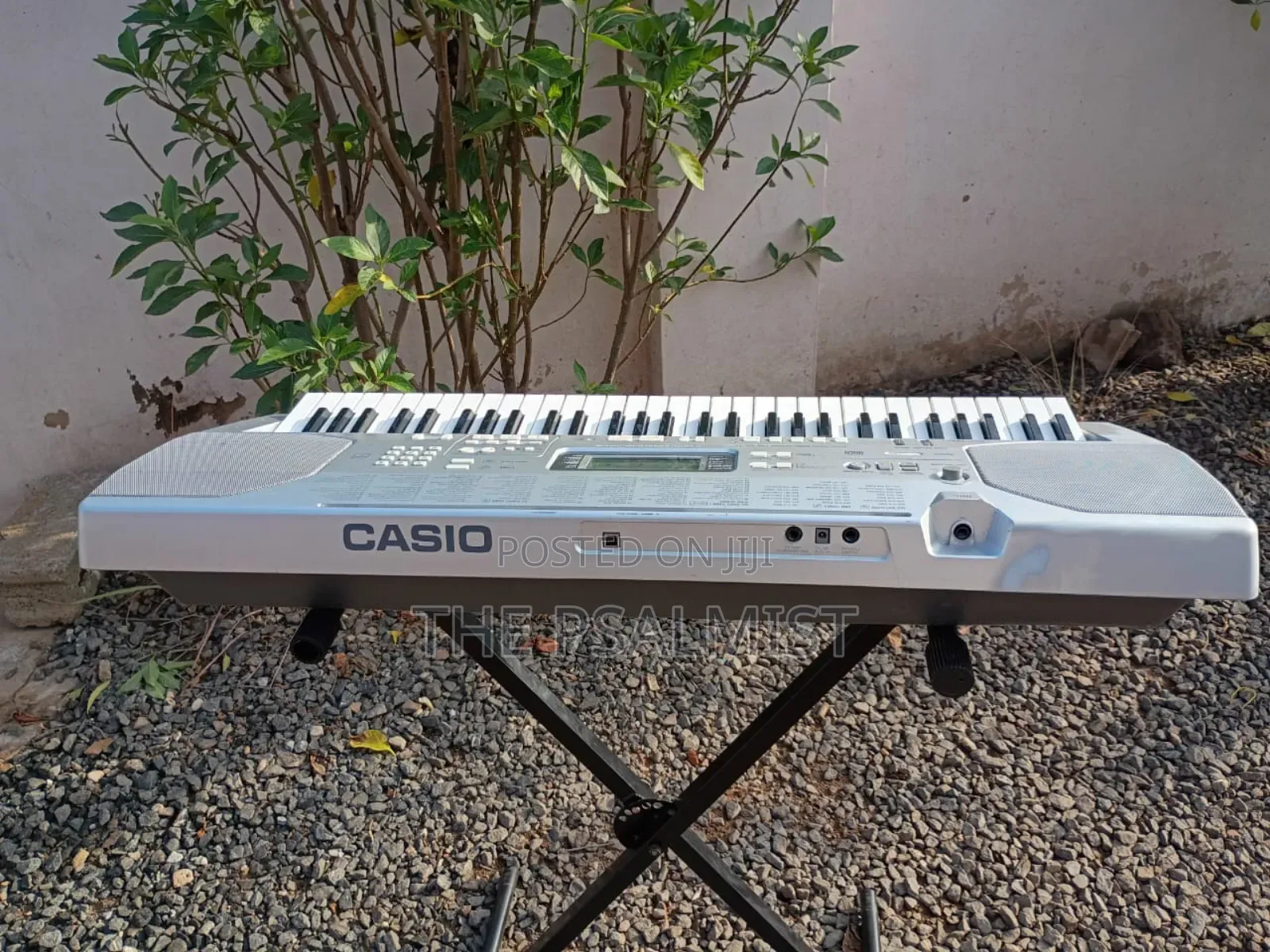 Casio CTK 800 Split Layer Transpose Usb Etc