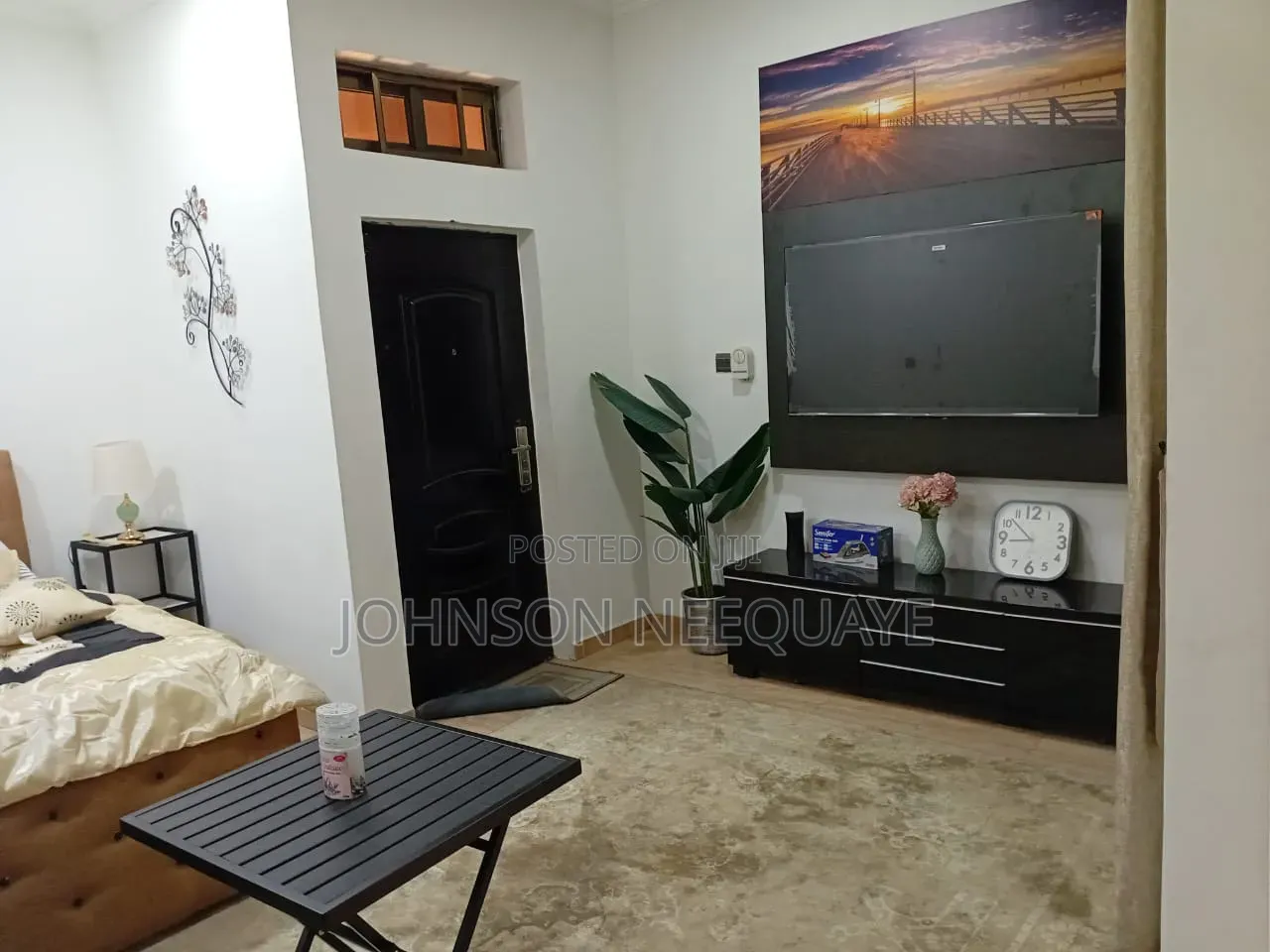 Furnished Studio Apartment in Tseaddo for rent