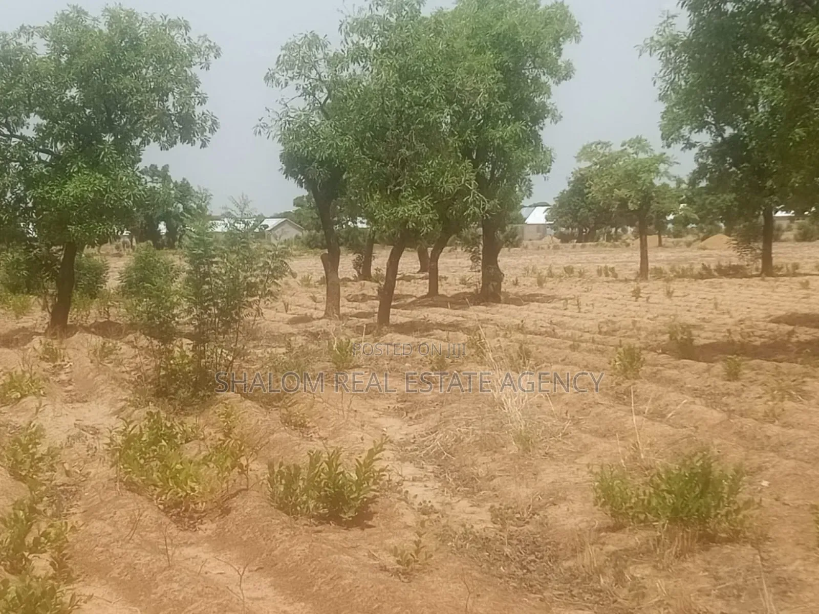 Two Plots of Land at Nyankpala Uds Campus Area for Sale