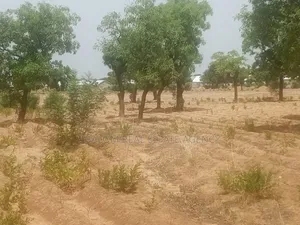 Two Plots of Land at Nyankpala Uds Campus Area for Sale