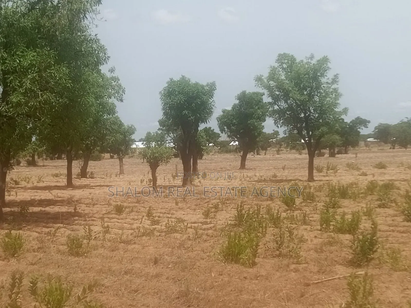 Two Plots of Land at Nyankpala Uds Campus Area for Sale