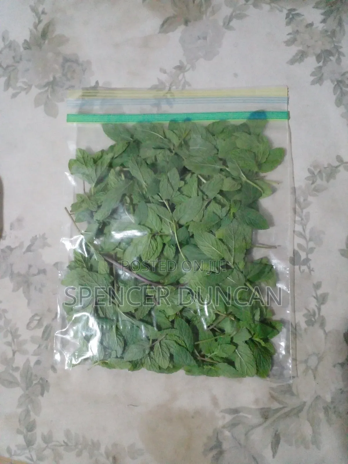 Natural Organic Spearmint Leaves and Seedlings Exotic Breed