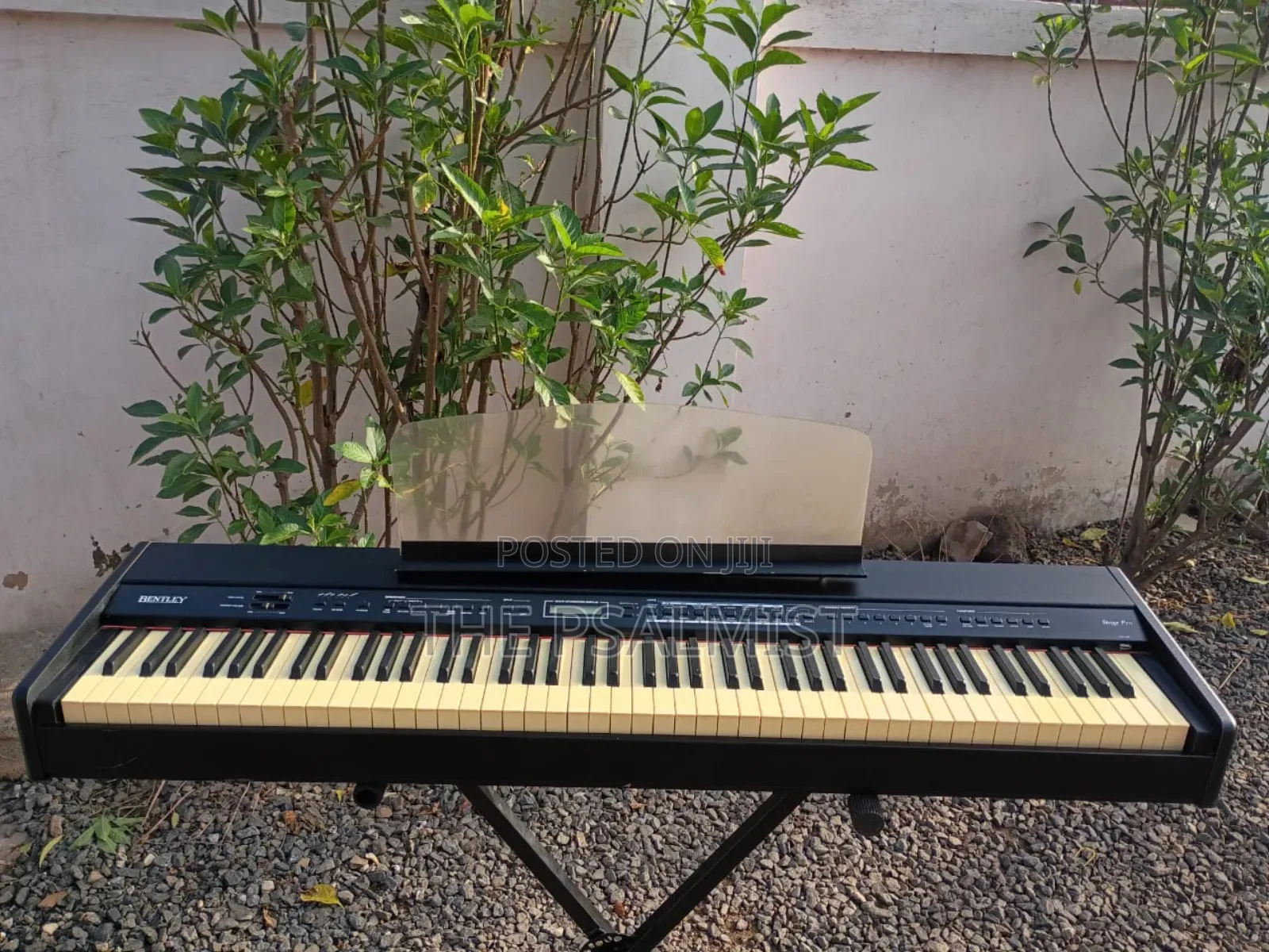 Bentley Stage Pro 88weighted Keys Split Layer Transpose Usb Etc