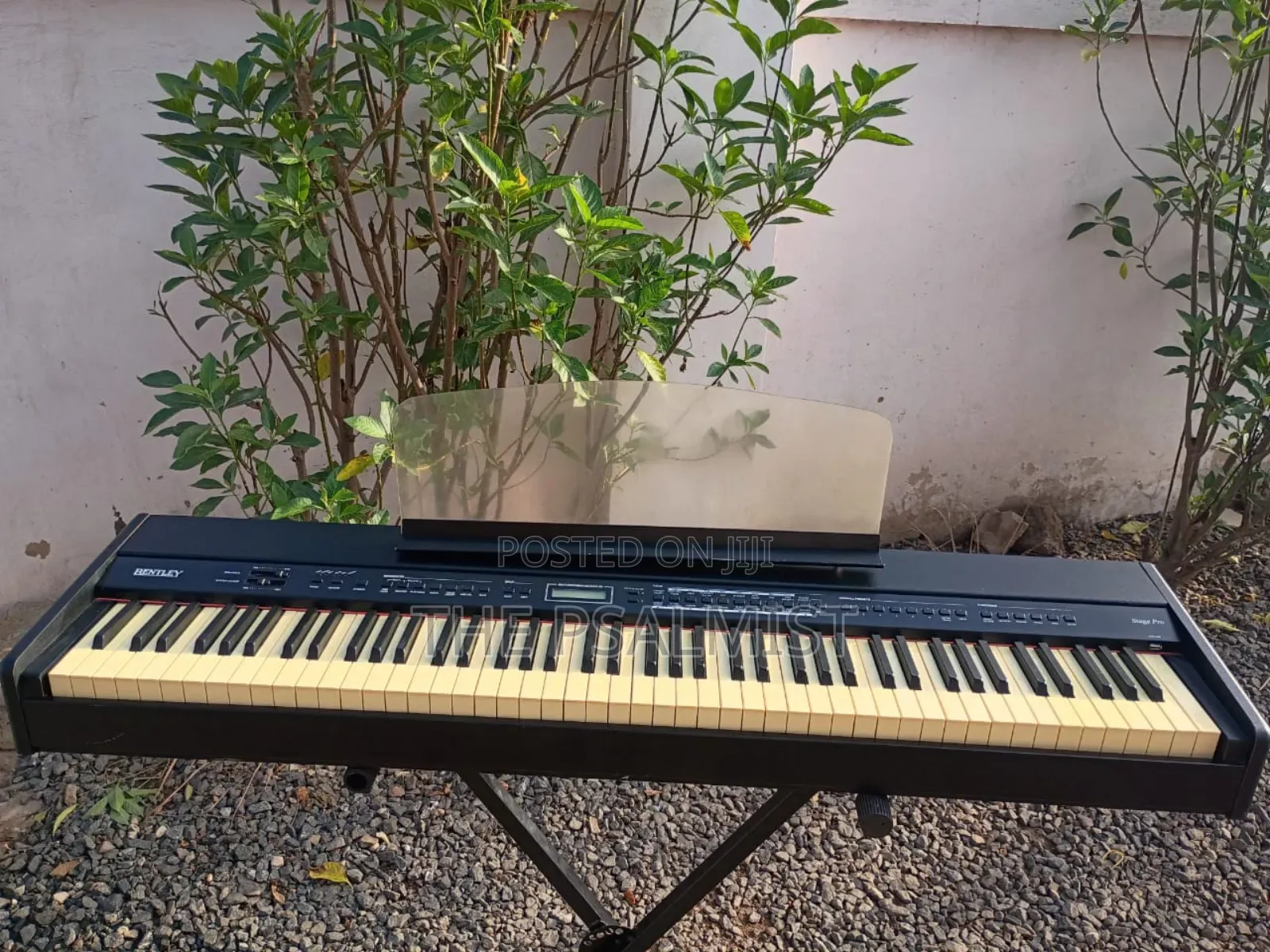 Bentley Stage Pro 88weighted Keys Split Layer Transpose Usb Etc