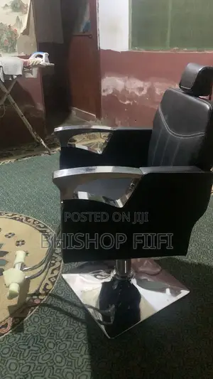 Salon Chair