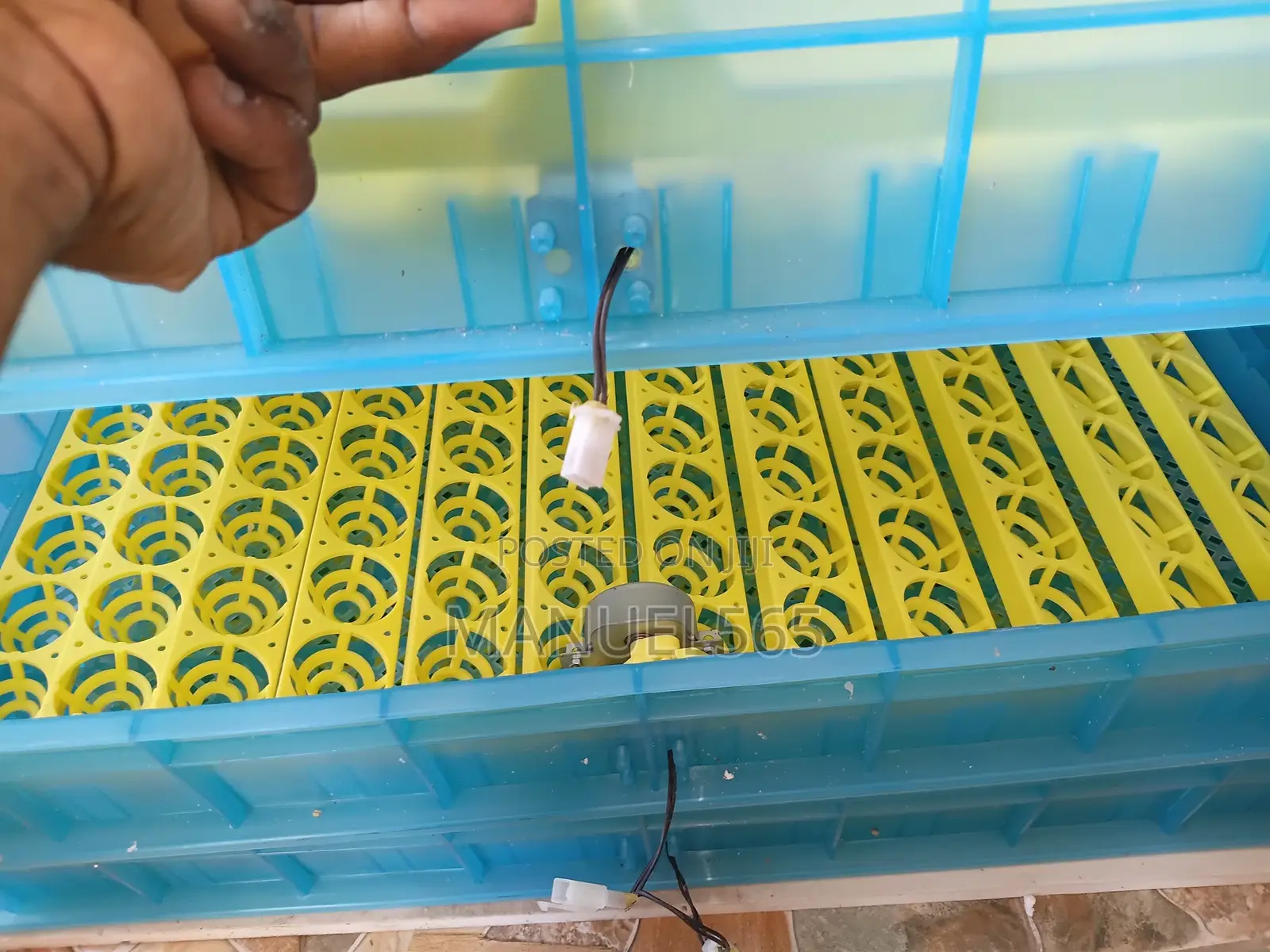 Automatic Incubator