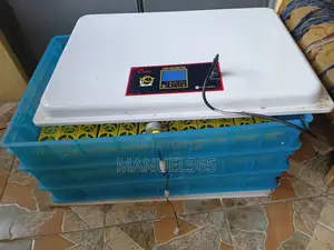 Automatic Incubator
