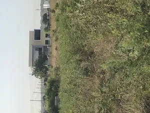 35x100 Plots of Land at Prampram