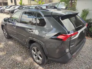 Toyota RAV4 Limited AWD 2019 Gray