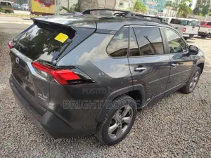 Toyota RAV4 Limited AWD 2019 Gray