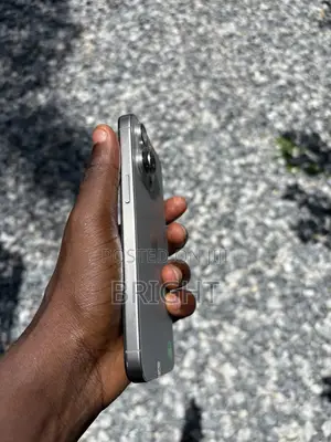 Apple iPhone 15 Pro Max 256 GB