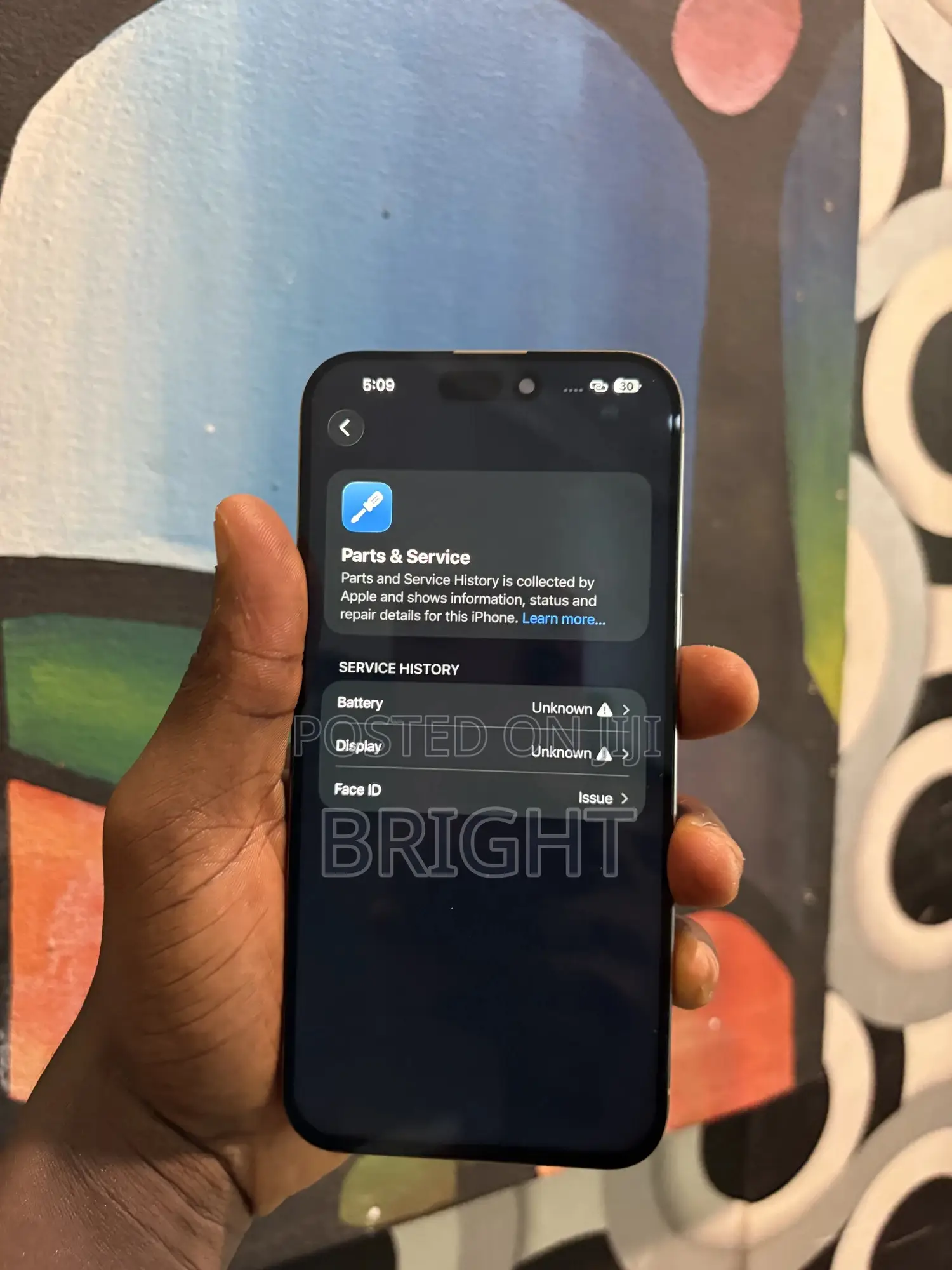 Apple iPhone 15 Pro Max 256 GB