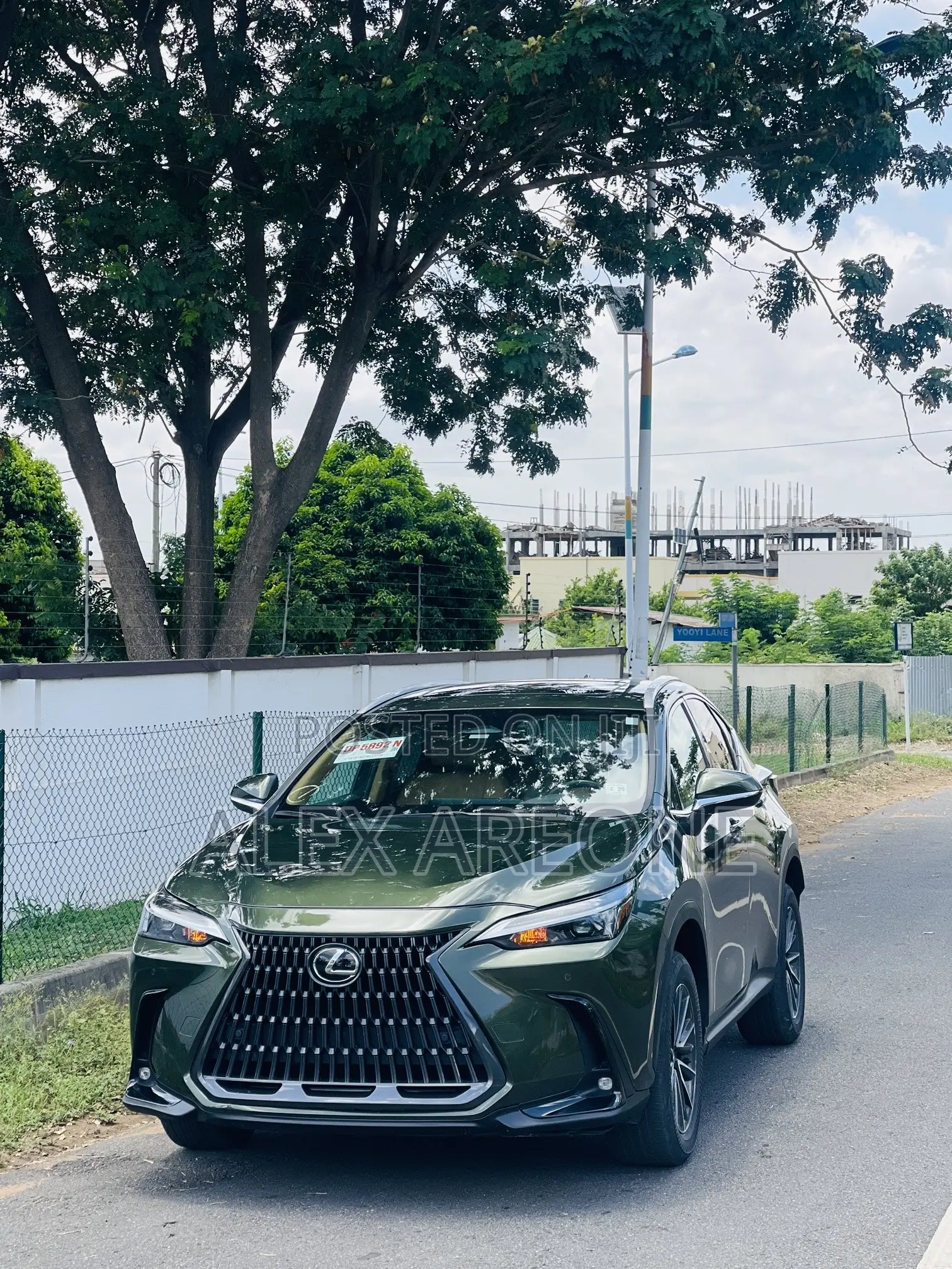 Lexus NX 350 Luxury AWD 2024 Green