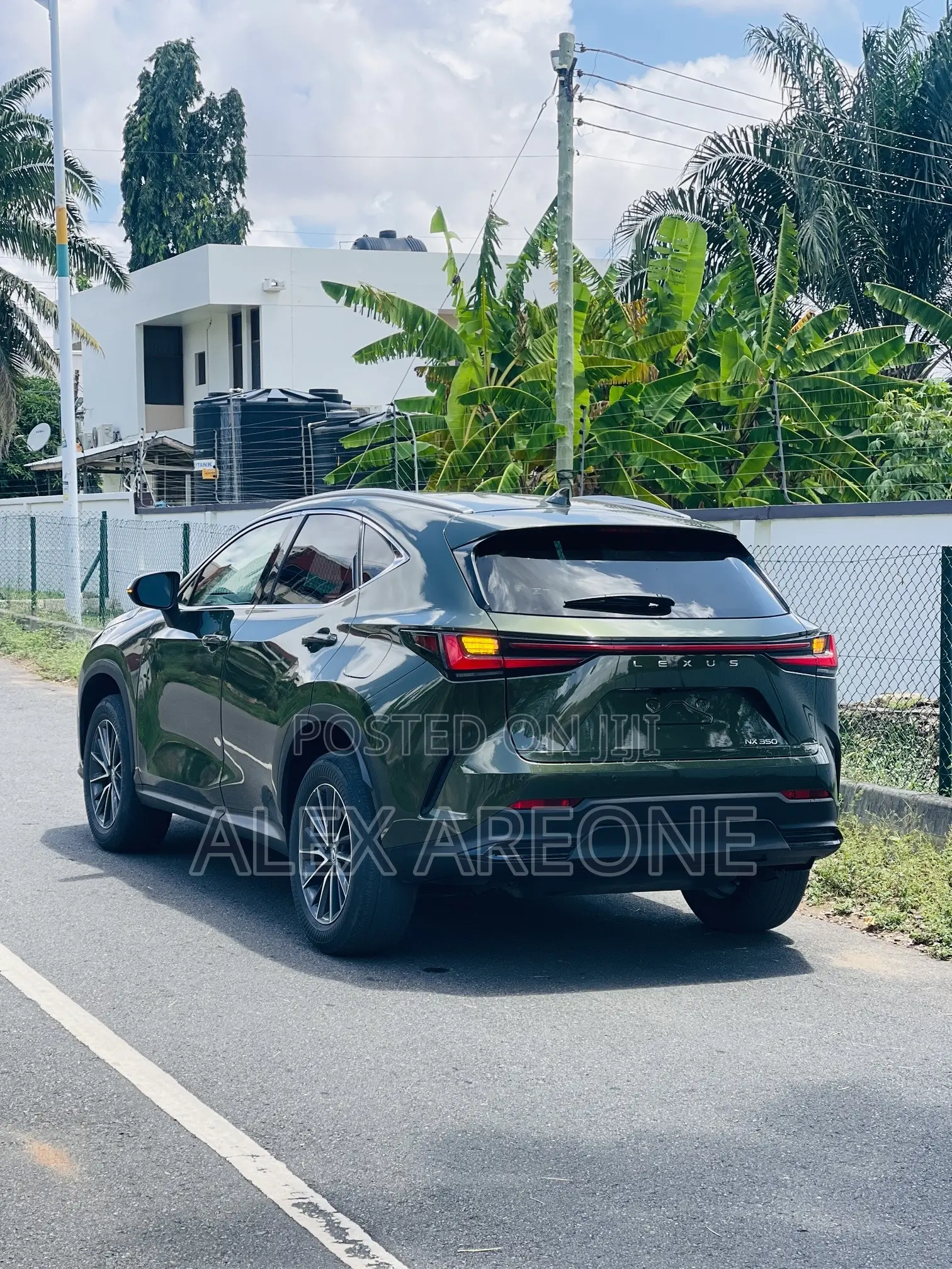 Lexus NX 350 Luxury AWD 2024 Green