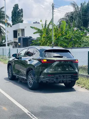 Lexus NX 350 Luxury AWD 2024 Green