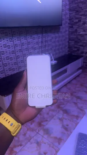 New Apple iPhone 15 Pro Max 256 GB Silver