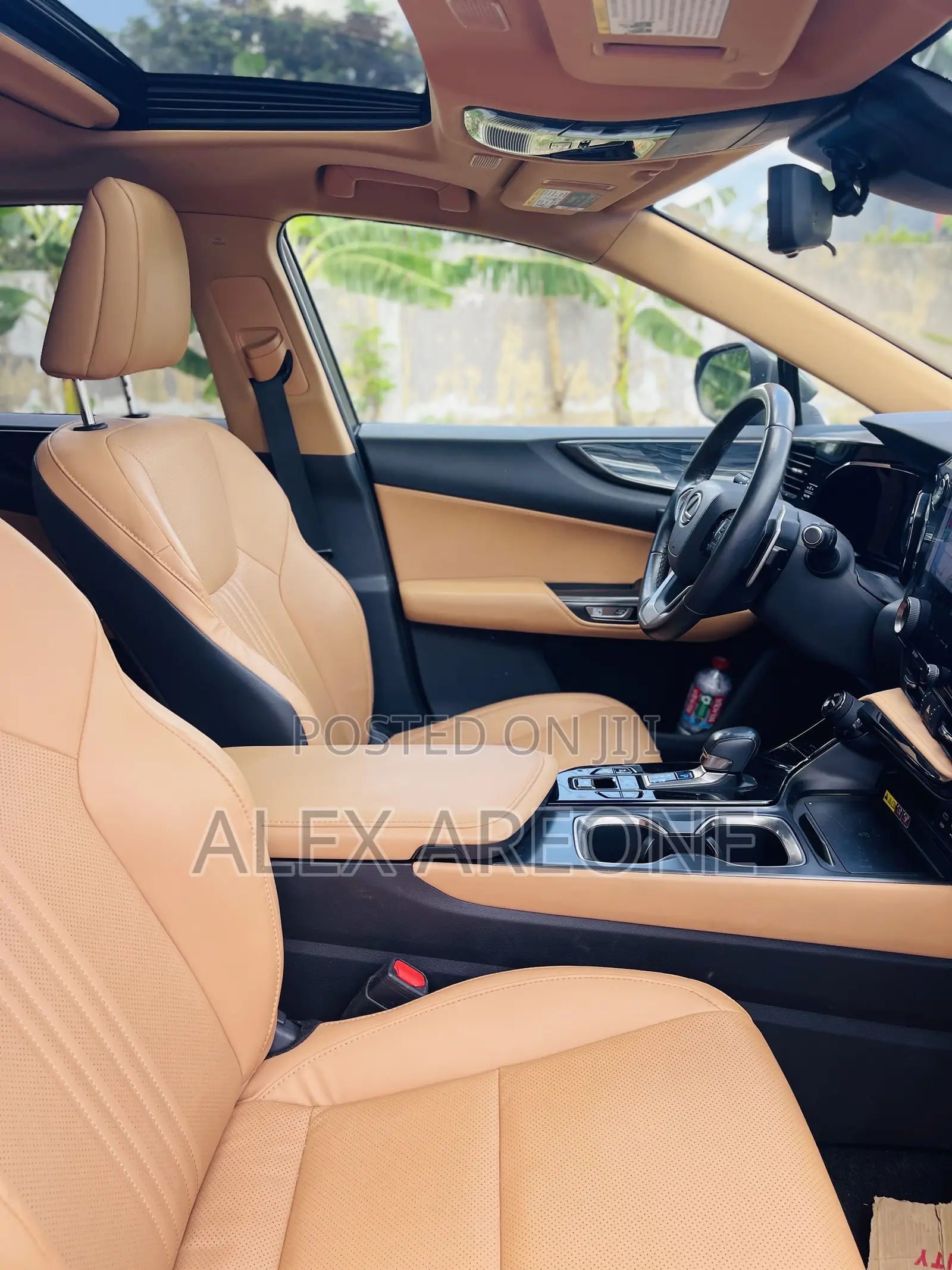 Lexus NX 350 Luxury AWD 2024 Green