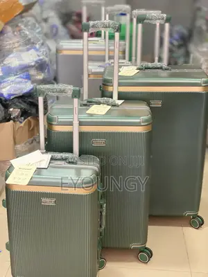 Premium Luxury Luggage Bag (3 Set)