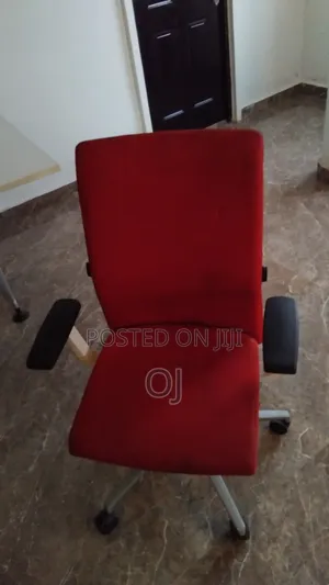Astra Ergonomic Chair