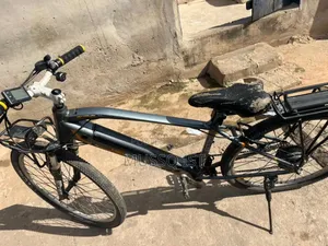 Eelectric Bicycle