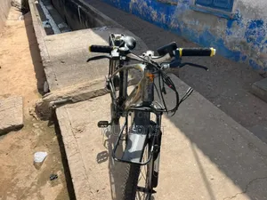 Eelectric Bicycle