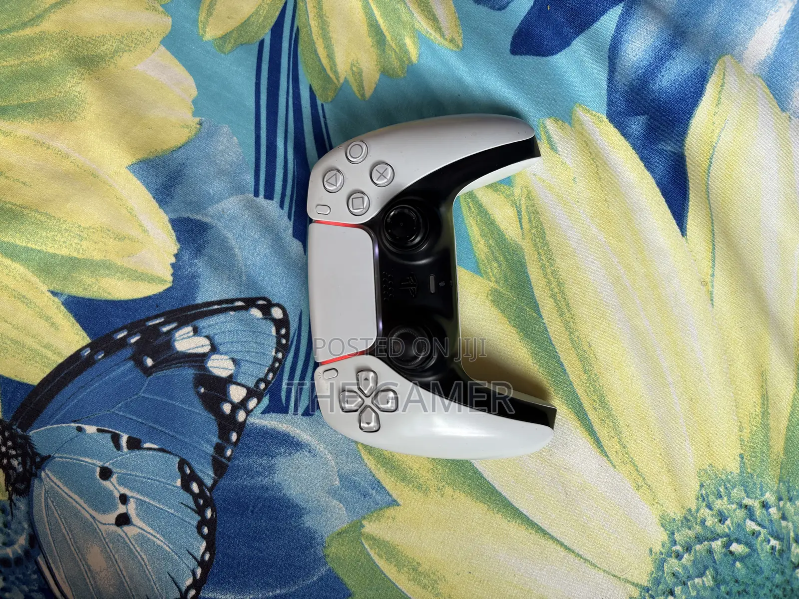 Ps5 Controller
