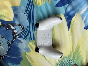Ps5 Controller