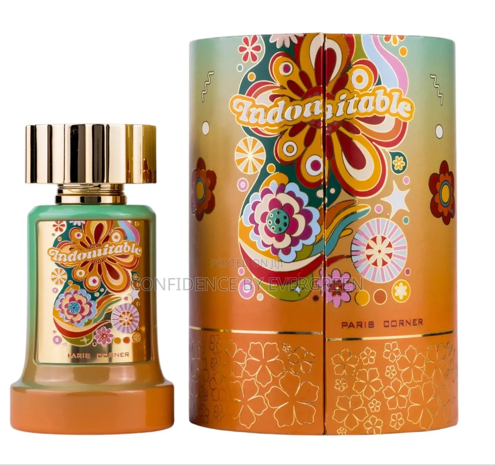 Indomitable By Paris Corner