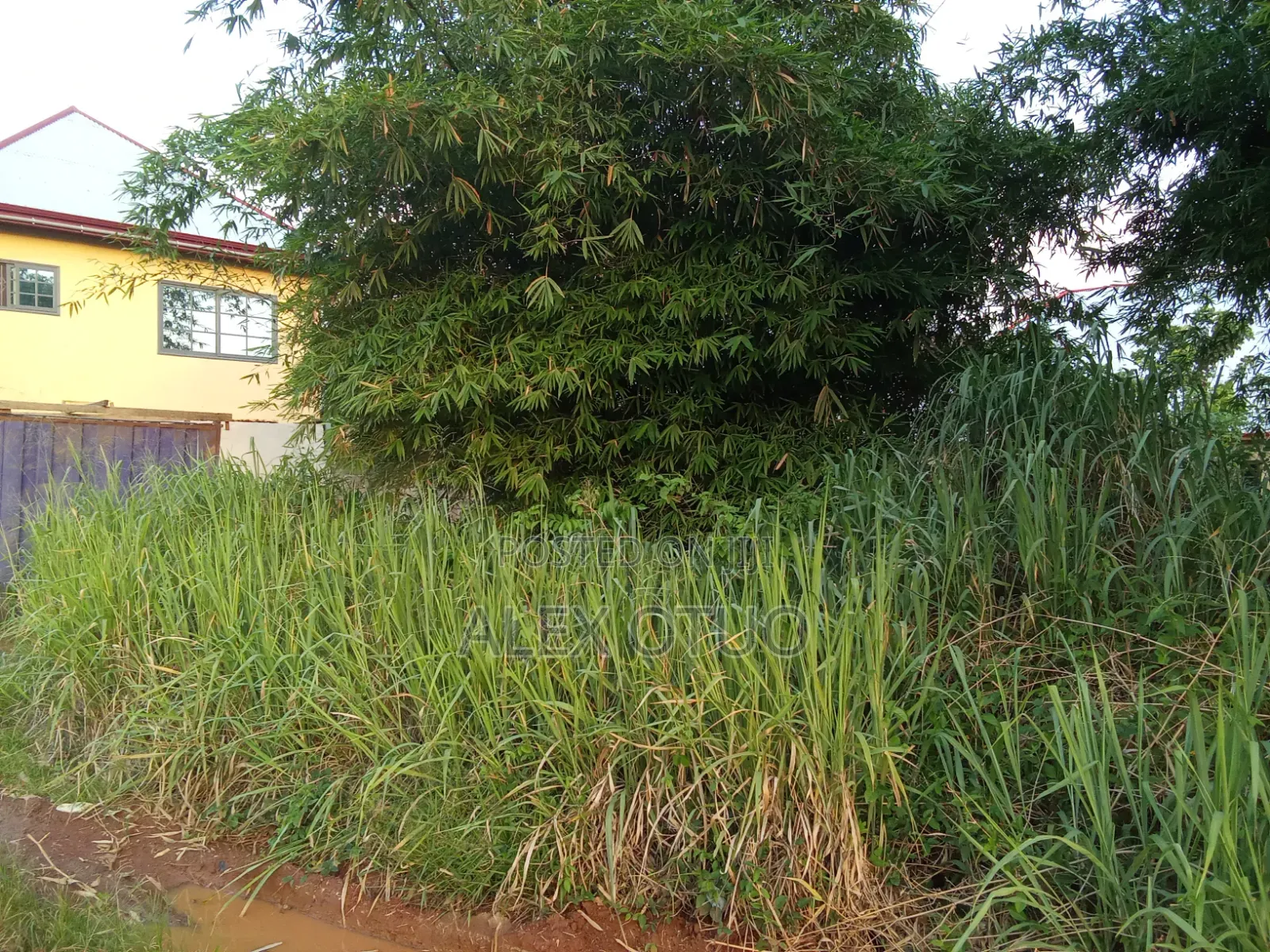 Nice Plot of Land Good Location Light Is There