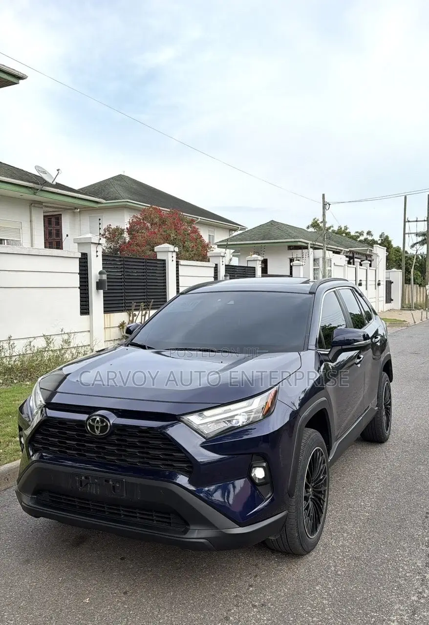 Toyota RAV4 XLE AWD 2020 Blue