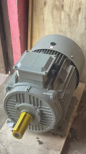 60hp (45kw) Three Phase Industrial Electric Motor