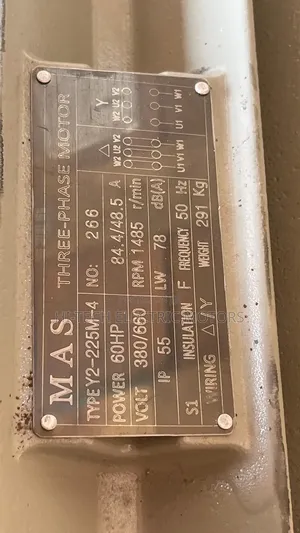 60hp (45kw) Three Phase Industrial Electric Motor