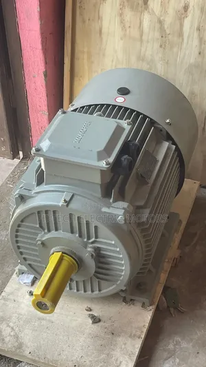 60hp (45kw) Three Phase Industrial Electric Motor