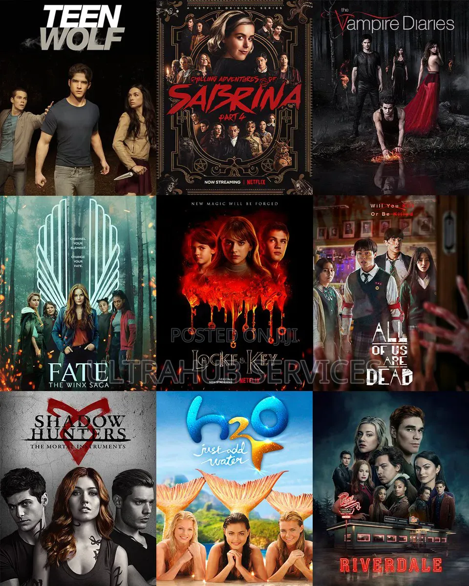 Netflix Premium Subscription