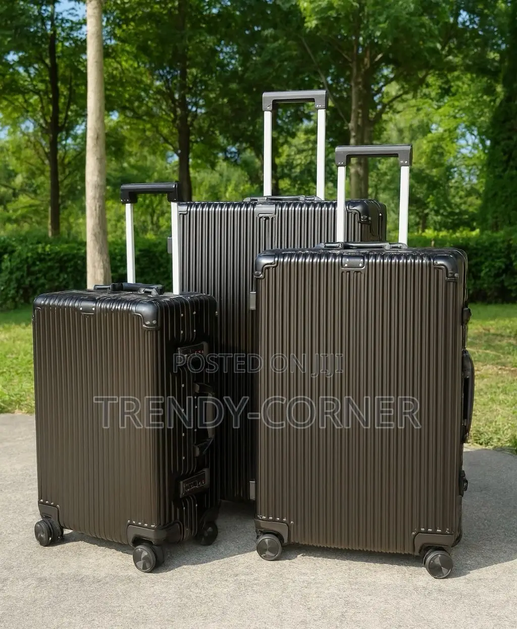 Luxury Travel Luggage ( Bags )