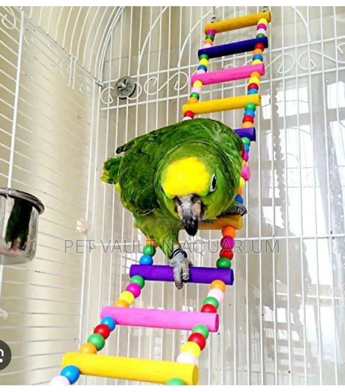 Play Toys (For All Types of Birds)