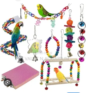 Play Toys (For All Types of Birds)