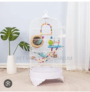 Play Toys (For All Types of Birds)
