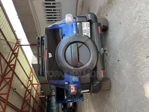 Toyota FJ Cruiser 2009 Blue