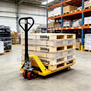Hand Pallet Truck for Sale