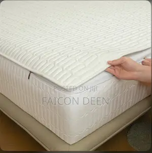 No More Dirty Mattress(All Round 360 Cotton Zipper Mattress Protector